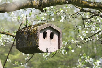 Stone Birdhouse hanging on a blooming apple tree
