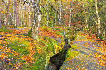 Labyrinth in der Saechsischen Schweiz - so called Labyrint in the Elbe sandstone mountains