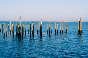 An unfinished pier on the peace river at Punta Gorda harbour and Charlotte harbour, Florida