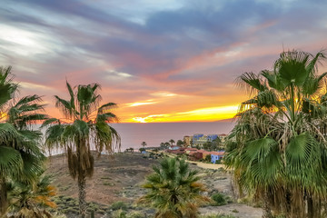 Teneriffe
