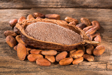 Chocolate, cocoa beans and cocoa powder - Theobroma cacao