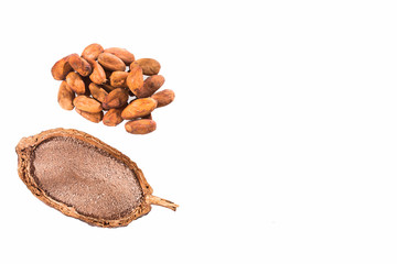 Chocolate, cocoa beans and cocoa powder - Theobroma cacao
