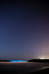 Fototapeta na wymiar Marveling at Bioluminescent Waves