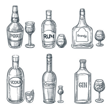 Alcohol drink bottles and glasses. Vector hand drawn sketch isolated illustration. Bar menu design elements