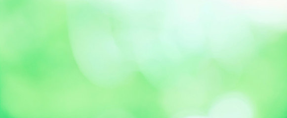 Beautiful Nature blurred Green White spring Background