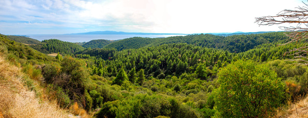 Fototapeta na wymiar Landscape view of the seaside forest hills of Halkidiki, Greece