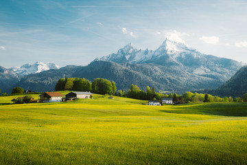Idyllisch landschap in de Alpen met bloeiende weiden in de lente