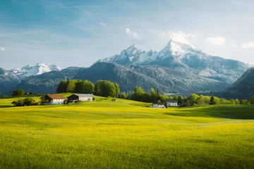 Schilderijen op glas Idyllisch landschap in de Alpen met bloeiende weiden in de lente © JFL Photography