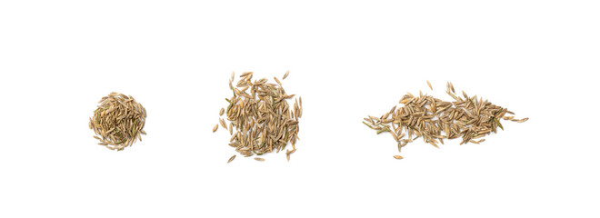 Heap of Loan Grass Seeds Isolated on White Background