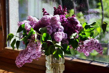 Purple lilac bouquet in a vase, Syringa vulgaris flowers