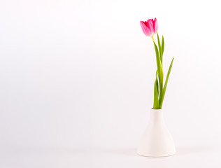 Tulips in minimalistic vase