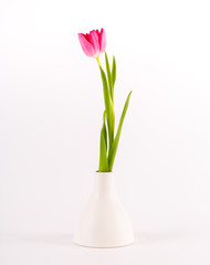 Tulips in minimalistic vase