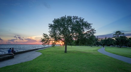 Mandeville Lakefront