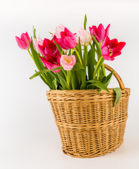Bouquet of fresh spring tulips