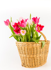 Bouquet of fresh spring tulips