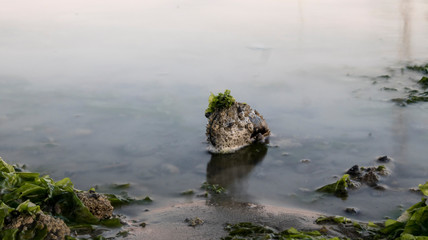 stone in water