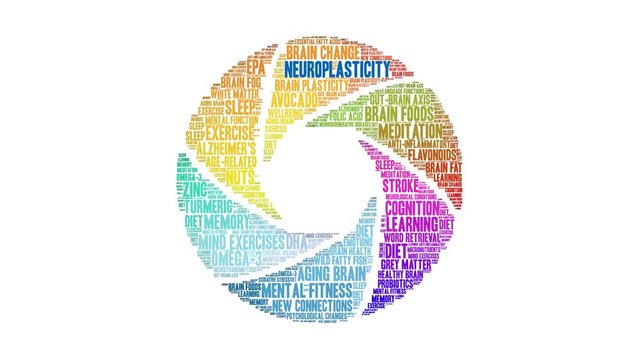 Neuroplasticity Animated Word Cloud on a white background .