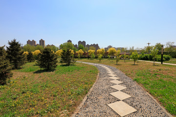 Fototapeta na wymiar Stone Roads and Greening Plants in Parks