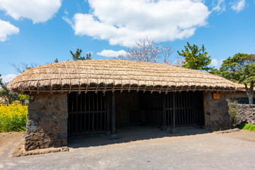 Fototapeta na wymiar Korean traditional thatched house in Jeju Island. South Korea.