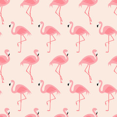 Vector seamless pattern with flamingos