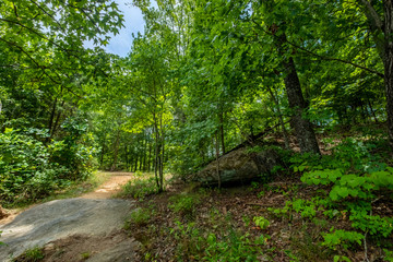 Obraz premium Mountain View Trail, Arabia Mountain, Georgia, USA