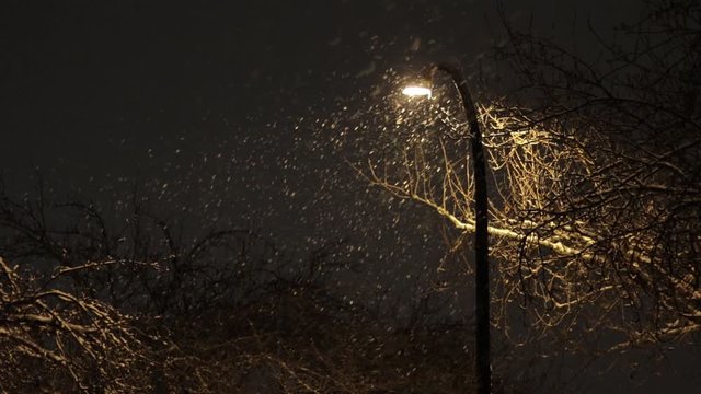Falling snow is illuminated by a streetlamp on a winter night
