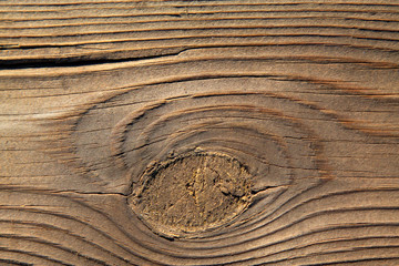 wood texture
