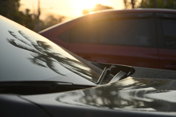 Fototapeta premium black modern car road trip travel in the morning with palm tree reflection in windshield
