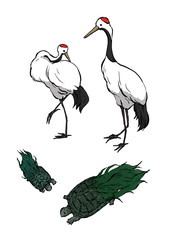 丹頂鶴と蓑亀イラスト(カラー)