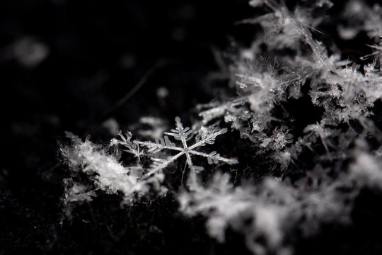 Cluster of Snowflakes on a black background. Center snowflake in focus. Macro look at the details of snow.