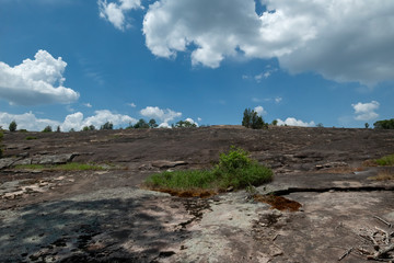 Arabia Mountain, Georgia, USA