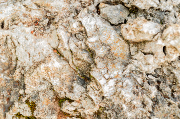 Stone Texture