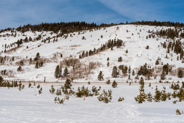 Landscape of trees and snow-covered mountain along the Mount Rose Summit highway near Incline Village, Nevada