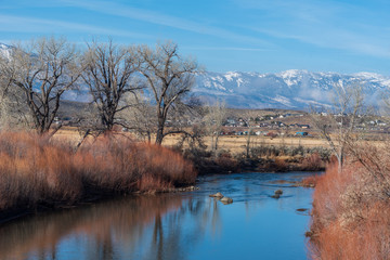 Landscape of the Carson River, bare trees, red reeds and snow-dappled mountains in the distance in Carson City Nevada