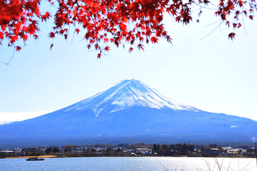Red Maple Leaves with Background of Fuji Mountain and Lake Kawaguchi in Japan During Autumn