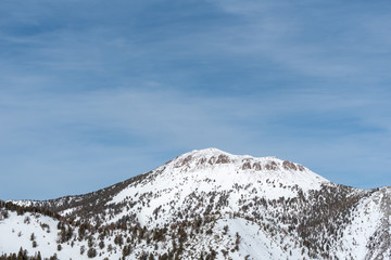 Low angle landscape of trees on snow-covered mountain peak near Incline Village, Nevada
