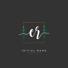 Handwritten initial letter E R ER for identity and logo. Vector logo template with handwriting and signature style.