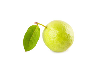 fresh guava fruit on white background fruit agriculture food isolated