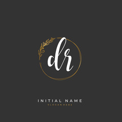 Handwritten initial letter D R DR for identity and logo. Vector logo template with handwriting and signature style.