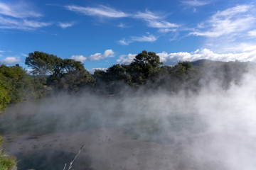 Rotorua has intermittent hot springs throughout the city.