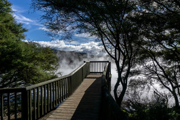 Rotorua has intermittent hot springs throughout the city.