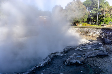 Fototapeta na wymiar Rotorua has intermittent hot springs throughout the city.