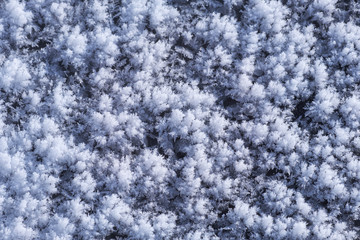 Snow texture. Natural winter background