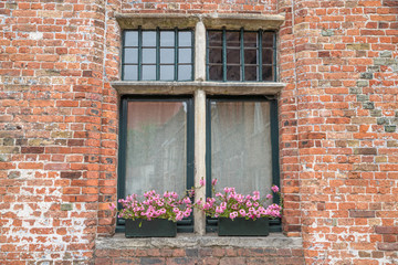 Fototapeta na wymiar Typisches Fenster in Brügge