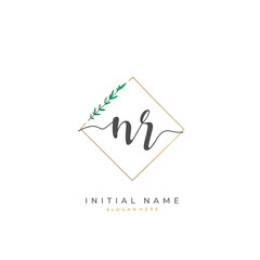 Handwritten initial letter N R NR for identity and logo. Vector logo template with handwriting and signature style.
