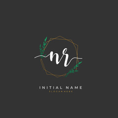 Handwritten initial letter N R NR for identity and logo. Vector logo template with handwriting and signature style.