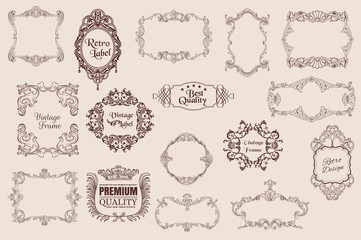 Modern vintage calligraphic design elements. Decorative swirls or scrolls, vintage elements, flourishes, labels and dividers,. Retro vector illustration