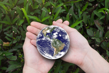 Female hands holding the earth with green leafs background. Elements of this image furnished by NAZA.