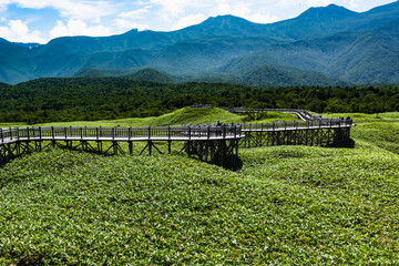 Fototapeta premium Shiretoko National Park located on the Shiretoko Peninsula in eastern Hokkaido