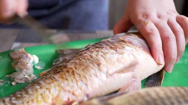 Hands of young woman with knife clean scales of fresh fish on kitchen table. Girl prepares fish for frying